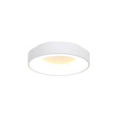 LED bathroom ceiling lights