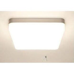 Shower ceiling light