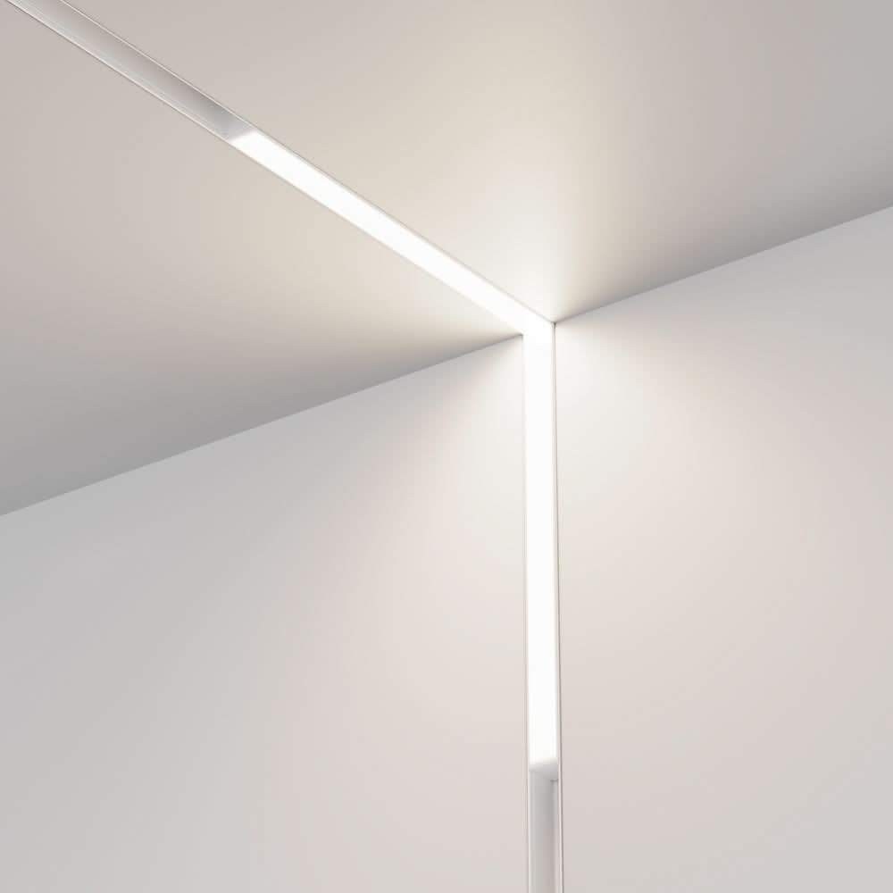Basis Angle White Spot