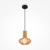 Roots black pendant light