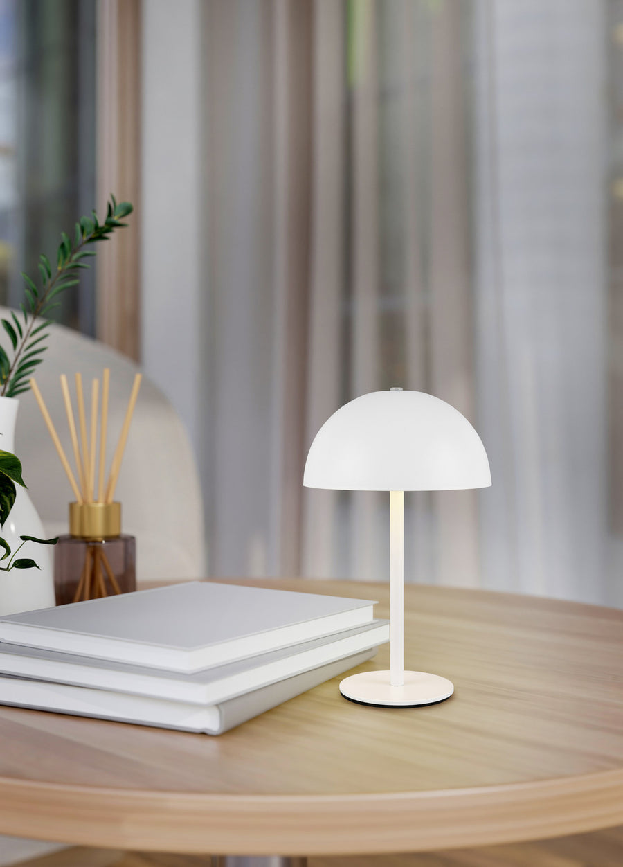 Lampe posée sur une table en bois clair, entourée de livres, d'un diffuseur et d'une plante.