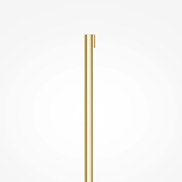 Renaissance Gold Wall Sconce