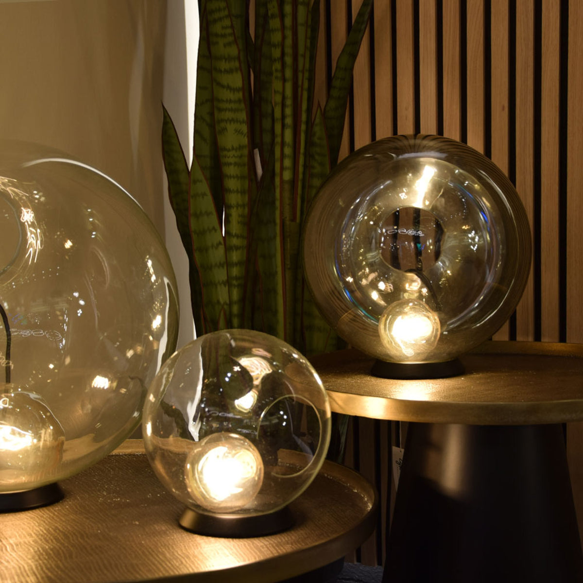 Trois globes transparents de formats variés éclairés devant une plante verte