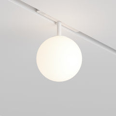Luna White Spot