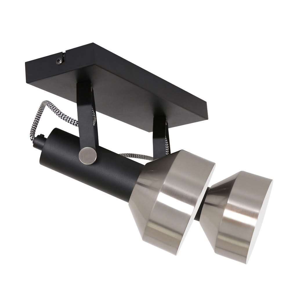 Matte Black 2-Light Ceiling Spotlight