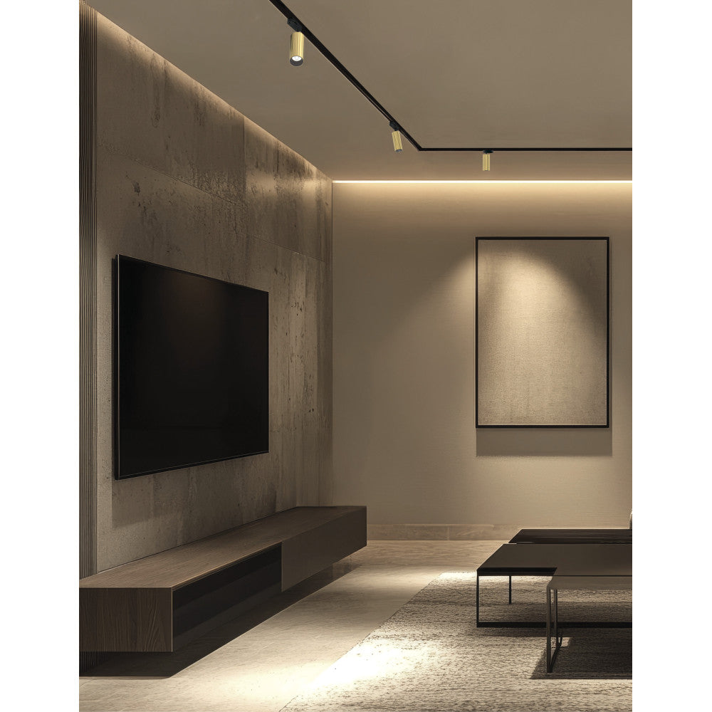 Mise en ambiance d’un salon avec spots sur rail au plafond éclairant mur et tableau.