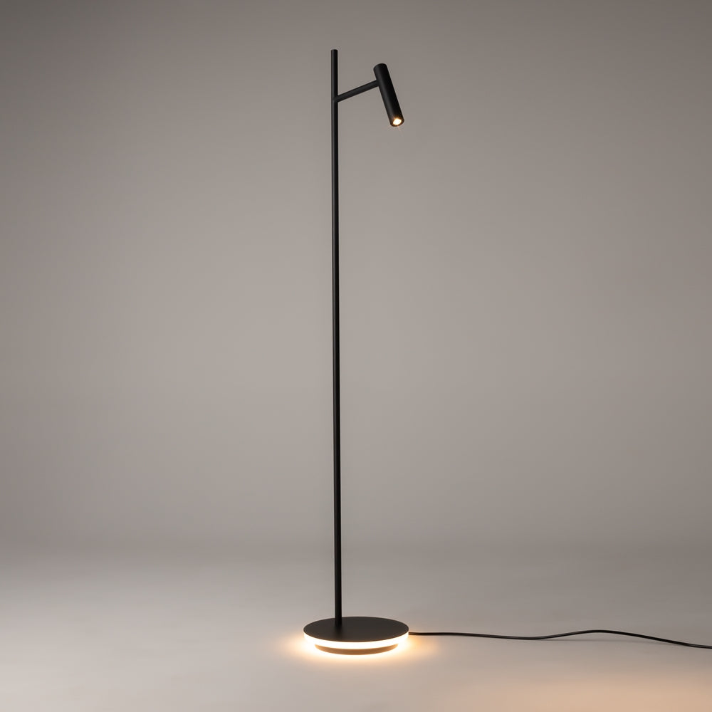 Black Floor Lamp Study