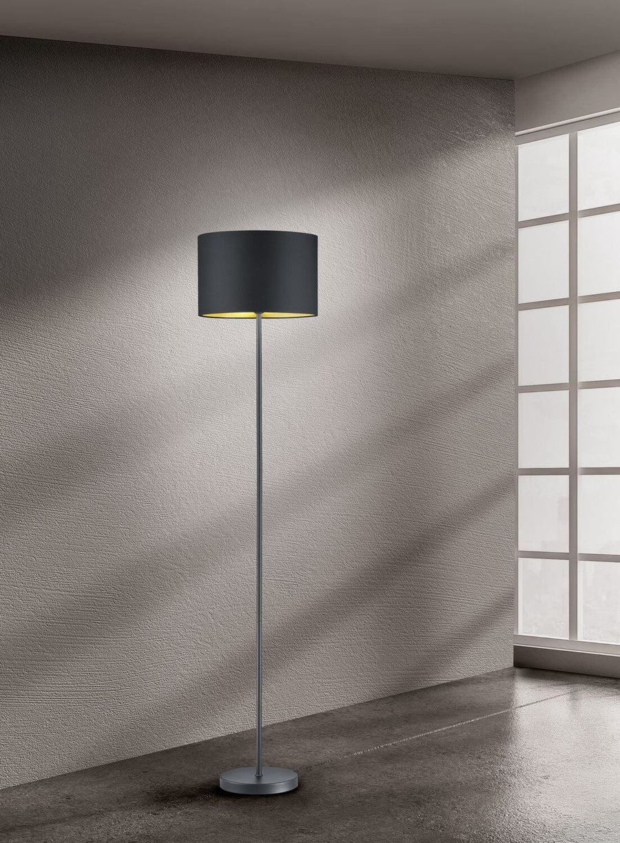 Lampadaire noir mat devant fenêtre, lumière naturelle dans pièce contemporaine.