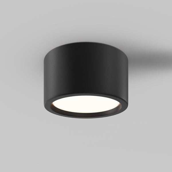Hydra Black Ceiling Light