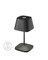 Lampe extérieure Neapel RC noire (97222-VB)