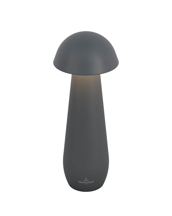 Lampe extérieure Modena anthracite, L 21 cm (97291)