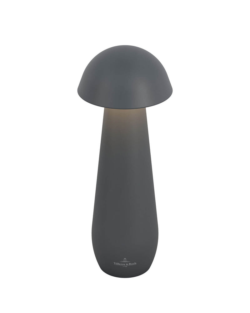 Luminaire extérieur | Modena Anthracite L 21 cm
