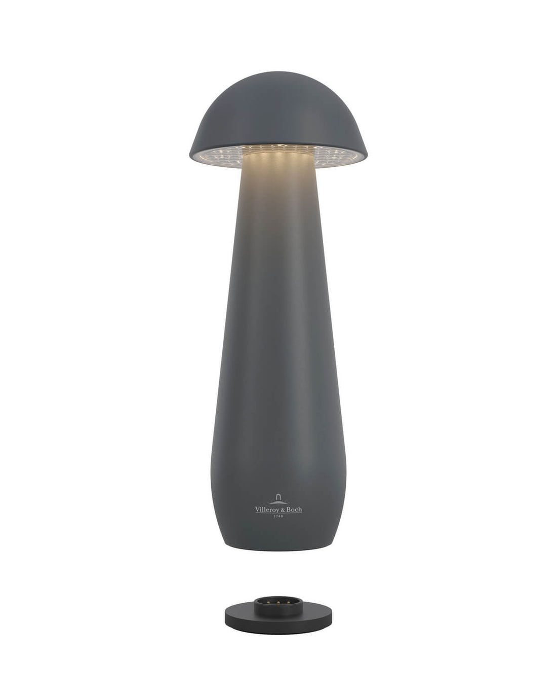 Luminaire extérieur | Modena Anthracite L 21 cm