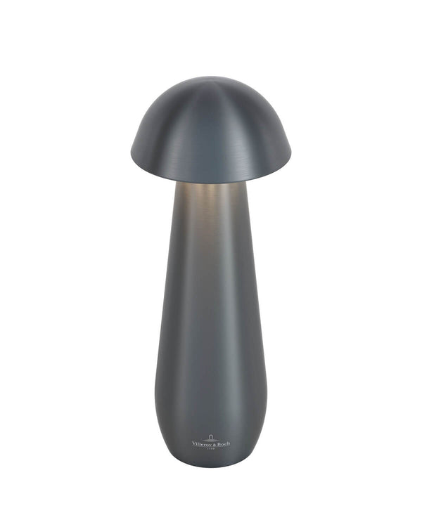 Lampe extérieure Modena anthracite, L 21 cm (97296-VB)