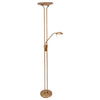 Elegant Bronze Floor Lamp