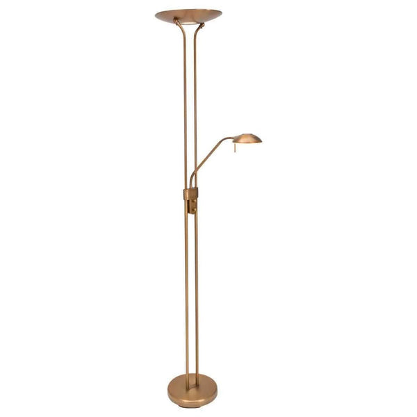 Elegant Bronze Floor Lamp