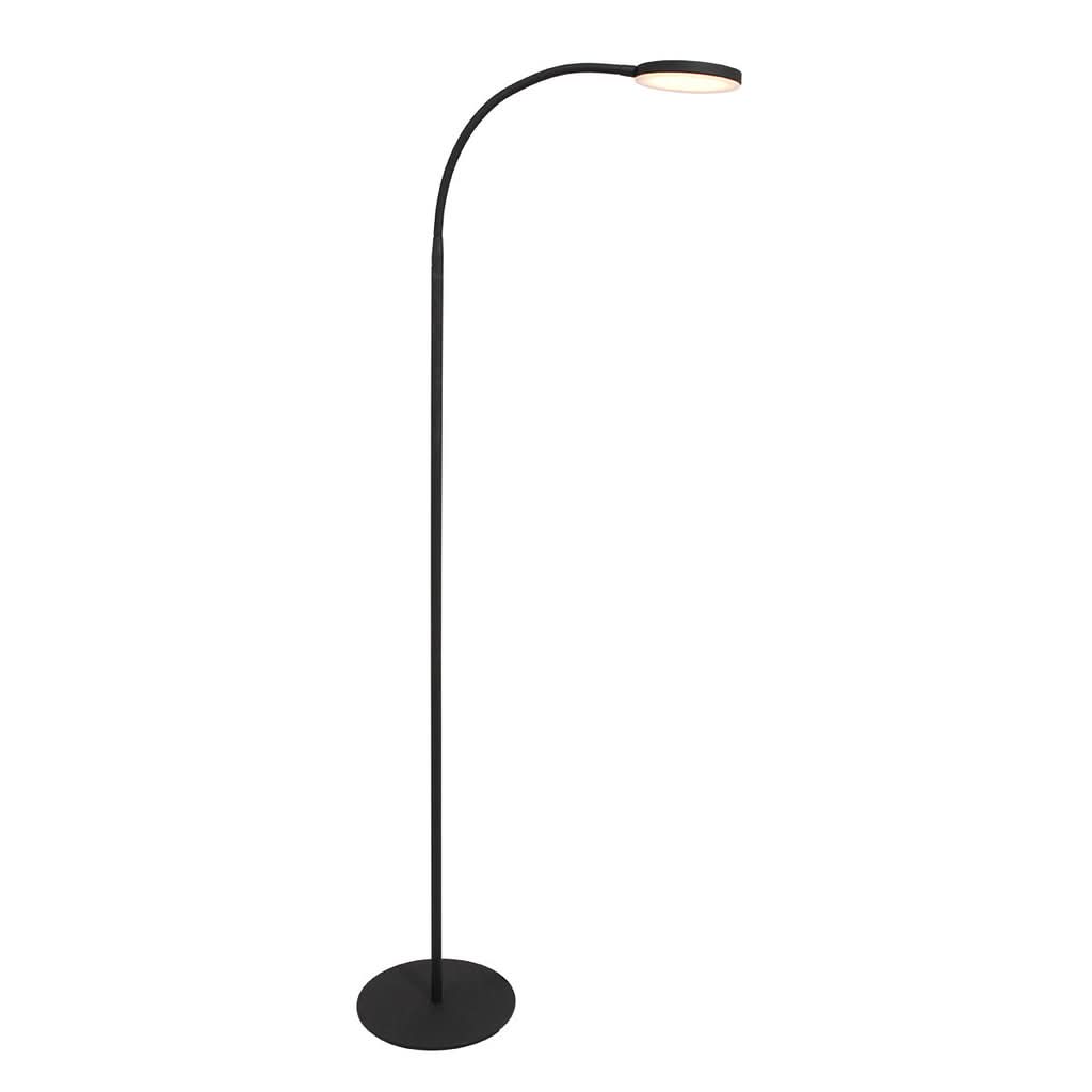 Platu Modern Floor Lamp