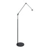 Chic Black Floor Lamp
