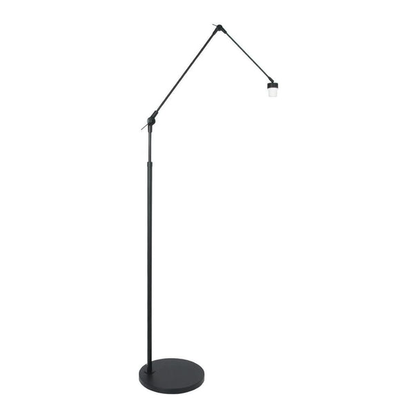 Chic Black Floor Lamp