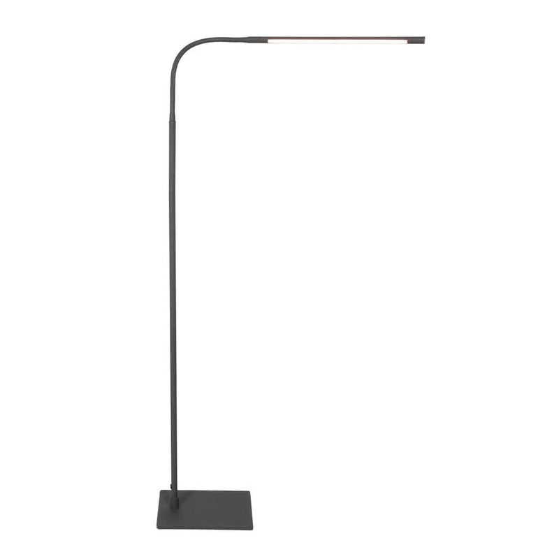 Flexible Black Floor Lamp