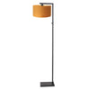 Black Velvet and Gold Floor Lamp