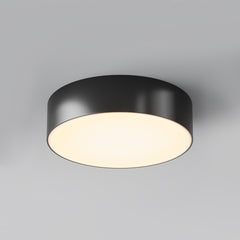 Zon IP Black Luminaire