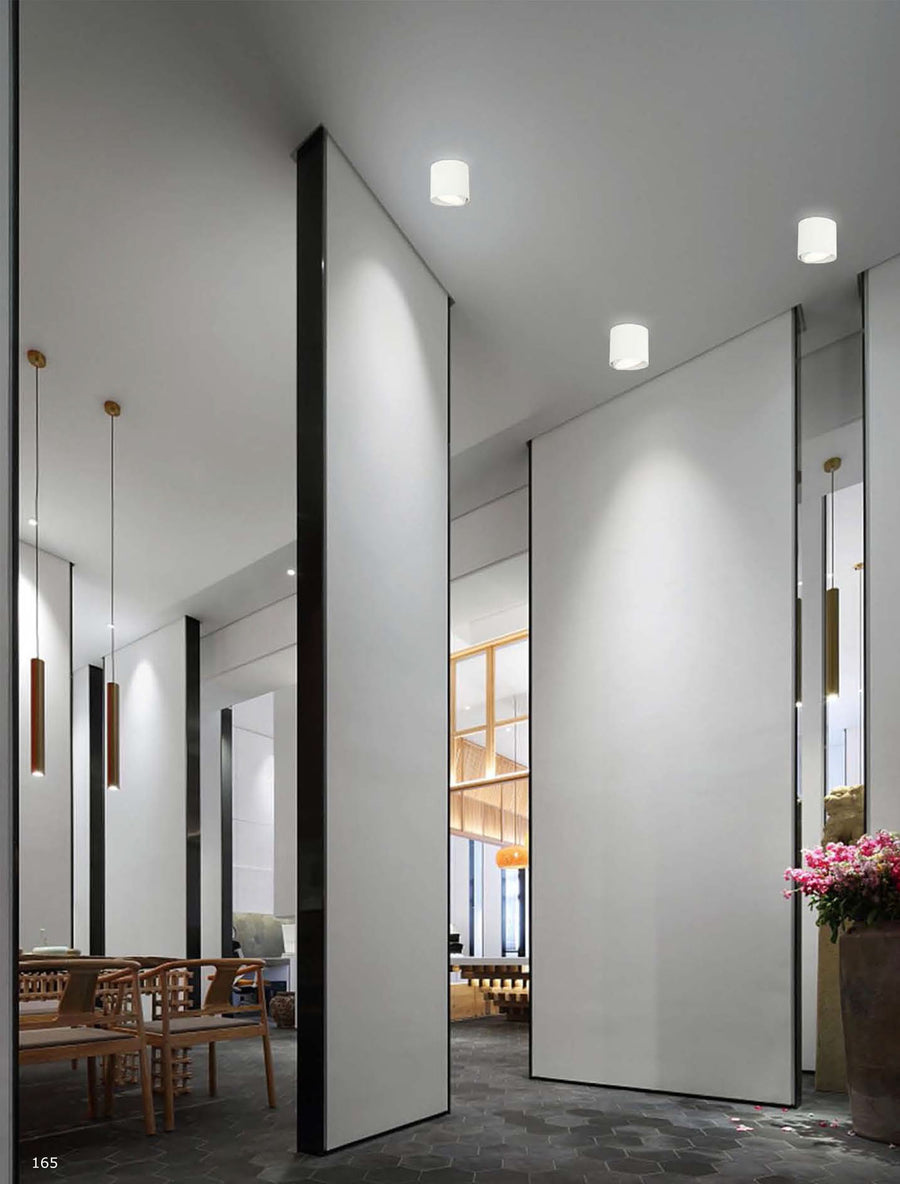Spot plafond Neo orientable, 8 W