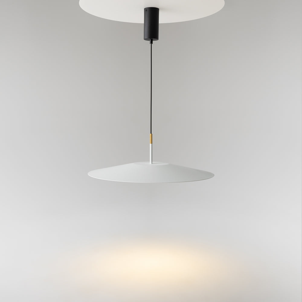 Black pendant light