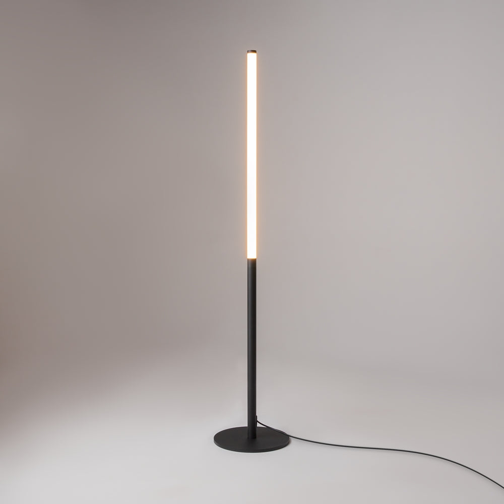 Ray Black Floor Lamp