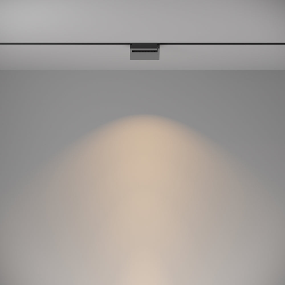 Basis Rot Spot noir