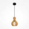 Roots black pendant light