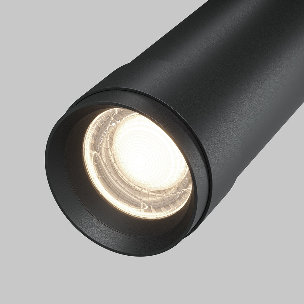 Focus Zoom Black ceiling light