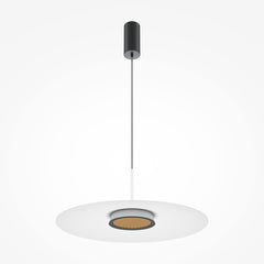 Black pendant light