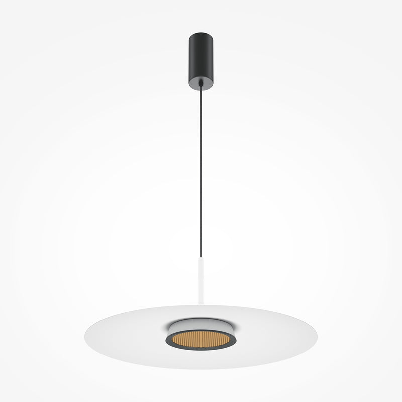 Black pendant light