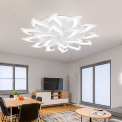 Contemporary ceiling light